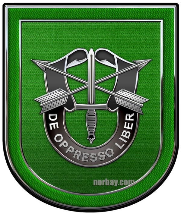 10th Special Forces All Metal Sign