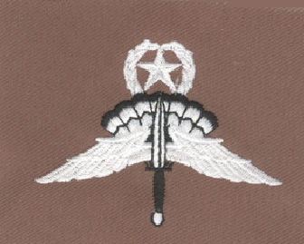 Military Freefall Master HALO Patch