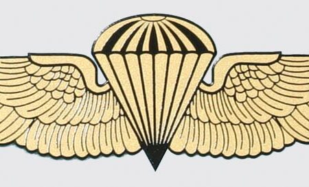 Marine-Navy Jump Wings Decal