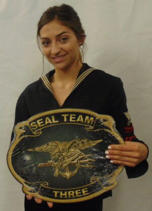 NAVY SEAL TEAM Three (3) all metal Sign 16" Round.