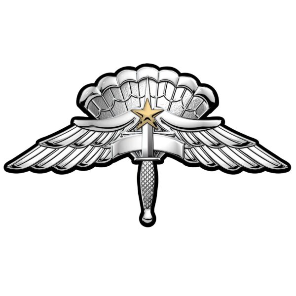 High Altitude Low Opening (HALO) Basic Parachutist Wings Badge with Combat Star Metal Sign (Small) 7 x 4"