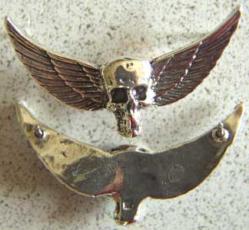 Vietnam SF MACV SOG Skull Wings Badge Sterling